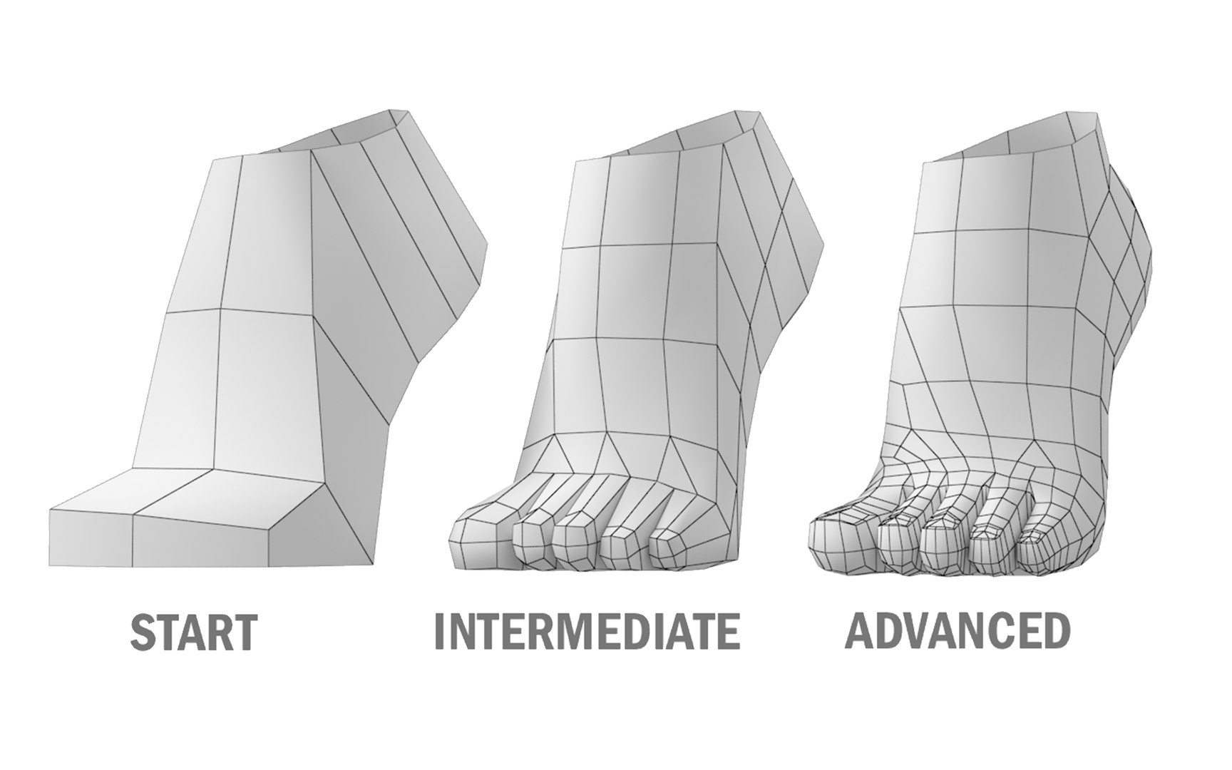 3D model Natural Female on Toes in T-Pose Base Mesh https://p.turbosquid.com/ts-thumb/gz/dk1Vp8/P4/24/png/1712937405/1920x1080/fit_q87/443f62f5c0a8fcd305ff953c501d26597627c826/24.jpg