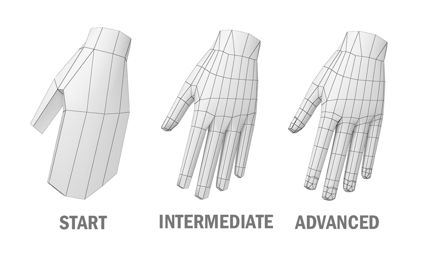 3D model Natural Female on Toes in T-Pose Base Mesh https://p.turbosquid.com/ts-thumb/gz/dk1Vp8/r5/23/png/1712937403/1920x1080/fit_q87/1e34601285ec22d4f5c4d891e1777826040acdfe/23.jpg