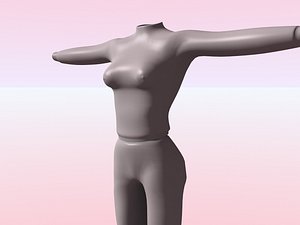 Sexy Training Wear for Women