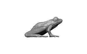 3D frog  toad statue