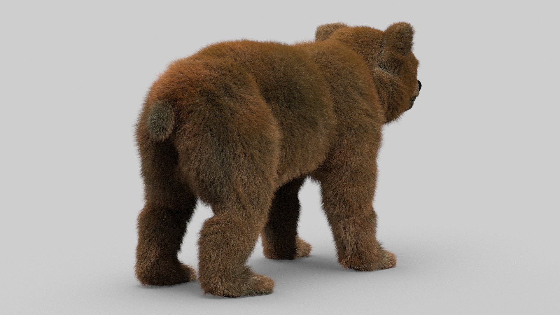 bear ornatrix zbrush 3D model https://p.turbosquid.com/ts-thumb/gz/jvdUYI/0ieauNsY/cub_0012/jpg/1600093244/1920x1080/fit_q87/66d346df3a55ef4cc4dc8ce805072fe555ee4b21/cub_0012.jpg