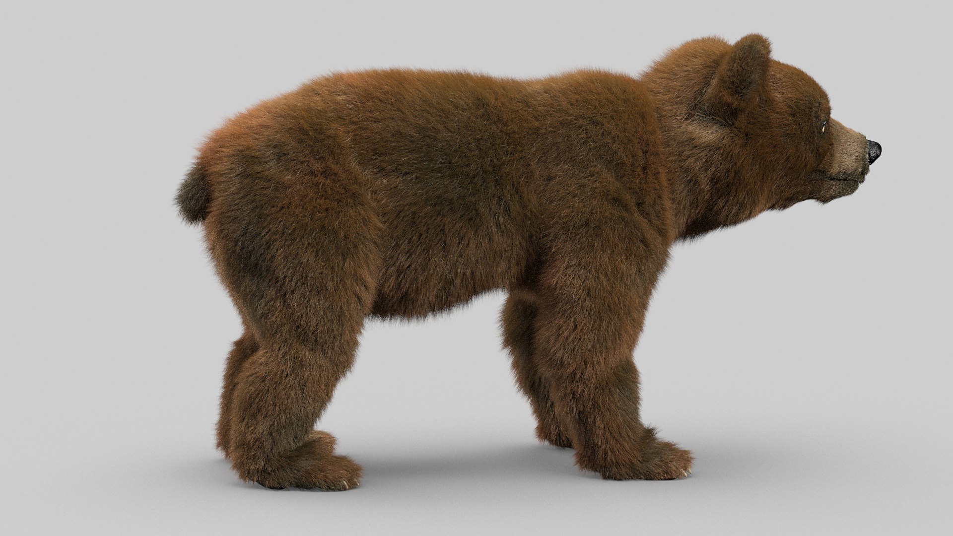 bear ornatrix zbrush 3D model https://p.turbosquid.com/ts-thumb/gz/jvdUYI/1zSMyRoC/cub_0009/jpg/1600089197/1920x1080/fit_q87/5083e1809ae9cb2f9cabb055848cb0f1d3c2c9b1/cub_0009.jpg