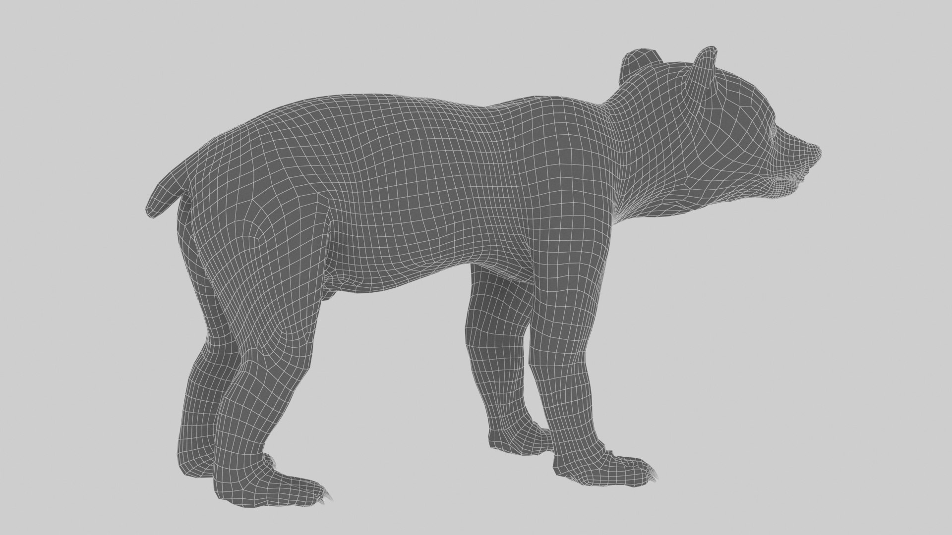 bear ornatrix zbrush 3D model https://p.turbosquid.com/ts-thumb/gz/jvdUYI/2odQJAgz/w5/jpg/1600088959/1920x1080/fit_q87/6fcabe491bbd37ebd93c79e7774b4c8a9cc93c55/w5.jpg
