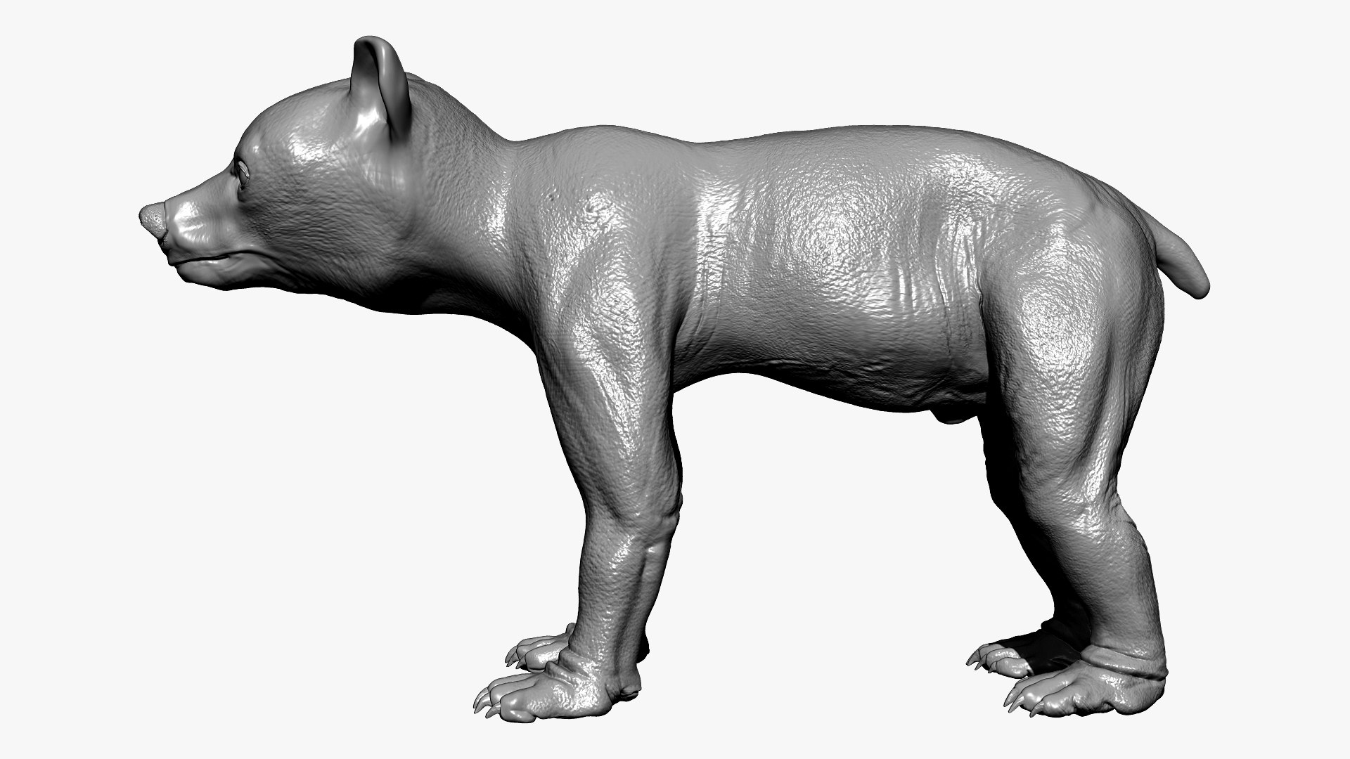 bear ornatrix zbrush 3D model https://p.turbosquid.com/ts-thumb/gz/jvdUYI/8yyrxDv8/bpr_composite1/jpg/1600087941/1920x1080/fit_q87/7ba03c1493a2f04bd9f69f2875c909b27a6bf83e/bpr_composite1.jpg