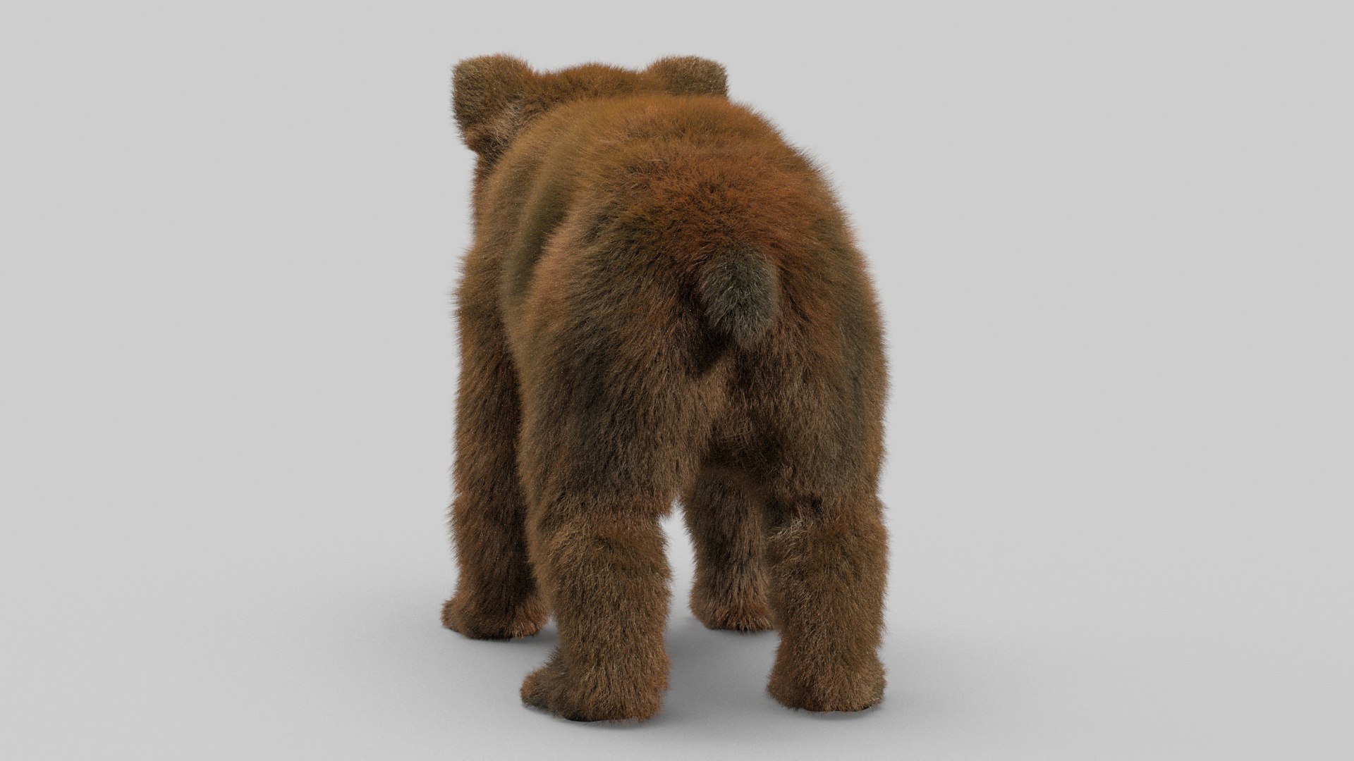 bear ornatrix zbrush 3D model https://p.turbosquid.com/ts-thumb/gz/jvdUYI/FC3VjgSC/cub_0016/jpg/1600093244/1920x1080/fit_q87/8ce520607cf006d6aef95b1051a08fb77b23b1ac/cub_0016.jpg