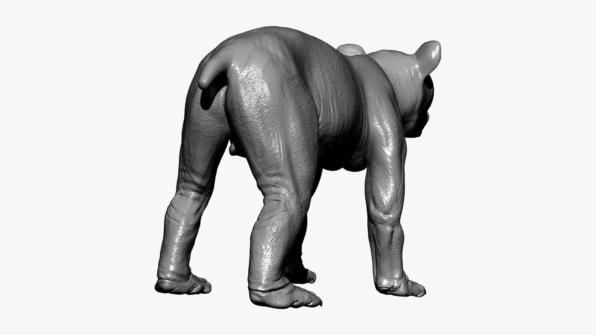 bear ornatrix zbrush 3D model https://p.turbosquid.com/ts-thumb/gz/jvdUYI/IotUosw1/bpr_composite2/jpg/1600087941/1920x1080/fit_q87/5b53a90f0dc1143c7a8f34a561c58a80386c0111/bpr_composite2.jpg