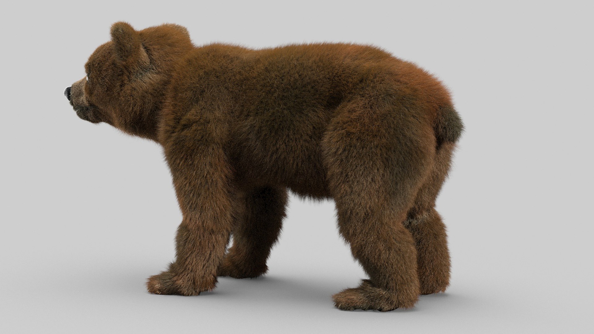bear ornatrix zbrush 3D model https://p.turbosquid.com/ts-thumb/gz/jvdUYI/beqQE921/cub_0020/jpg/1600100918/1920x1080/fit_q87/3be9cc2261baa13fc7577744cc4892f22036857b/cub_0020.jpg