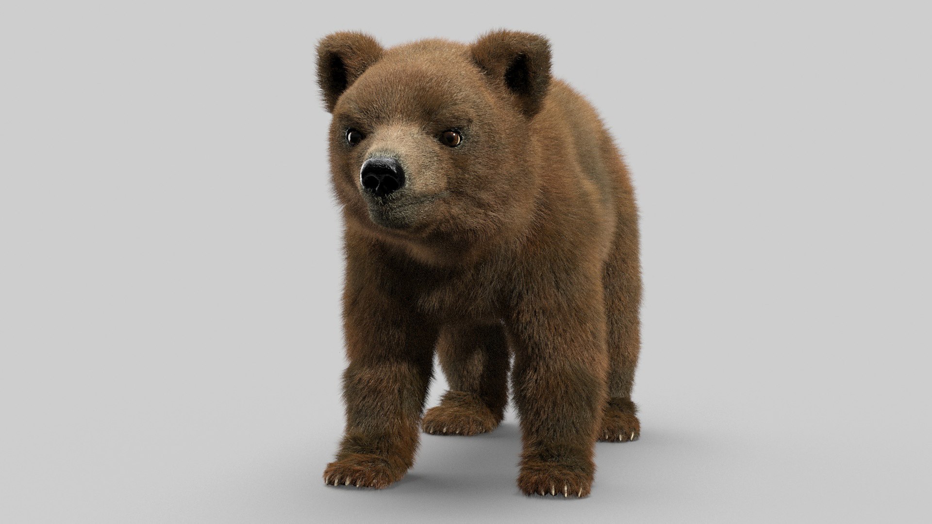 Bear Ornatrix Zbrush 3D Model - TurboSquid 1620492