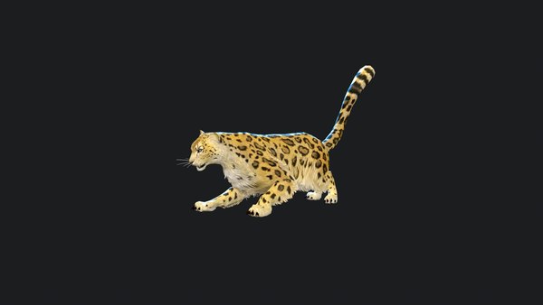 3D model Leopard Animation - TurboSquid 2005387