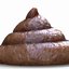 Feces Natural Crap Fecal
