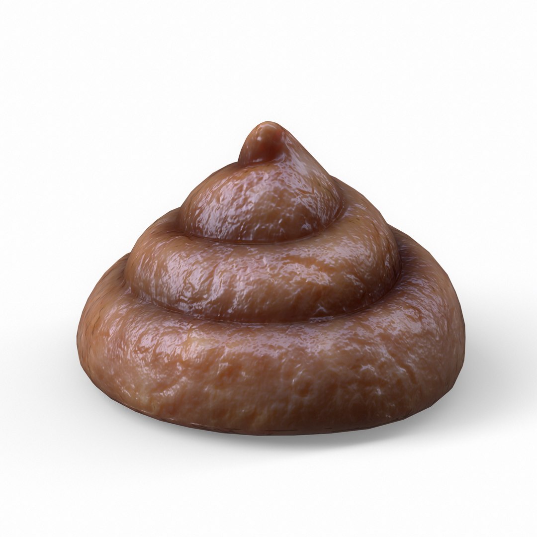 Feces Natural Crap Fecal 3D https://p.turbosquid.com/ts-thumb/gz/obmOQd/kP/6/png/1626440021/1920x1080/fit_q87/4e30bd06ea1d1c64855854bdb3aa508d0ba81d82/6.jpg