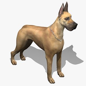 3d great dane model