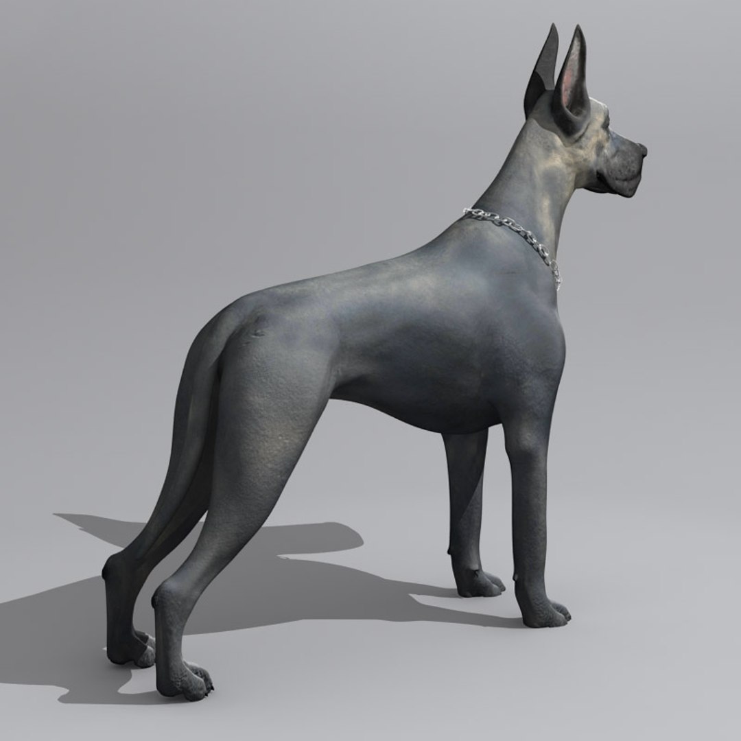 3d Great Dane Model