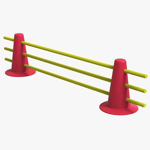 Training Cones