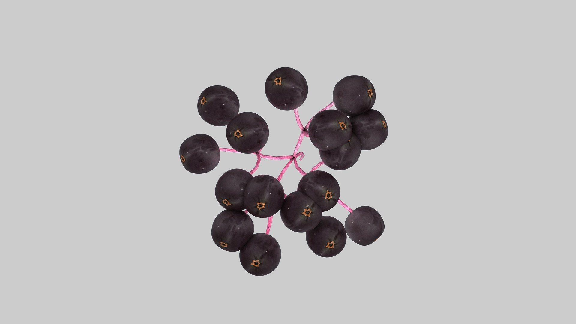 3D Berry Fruit - TurboSquid 1541193