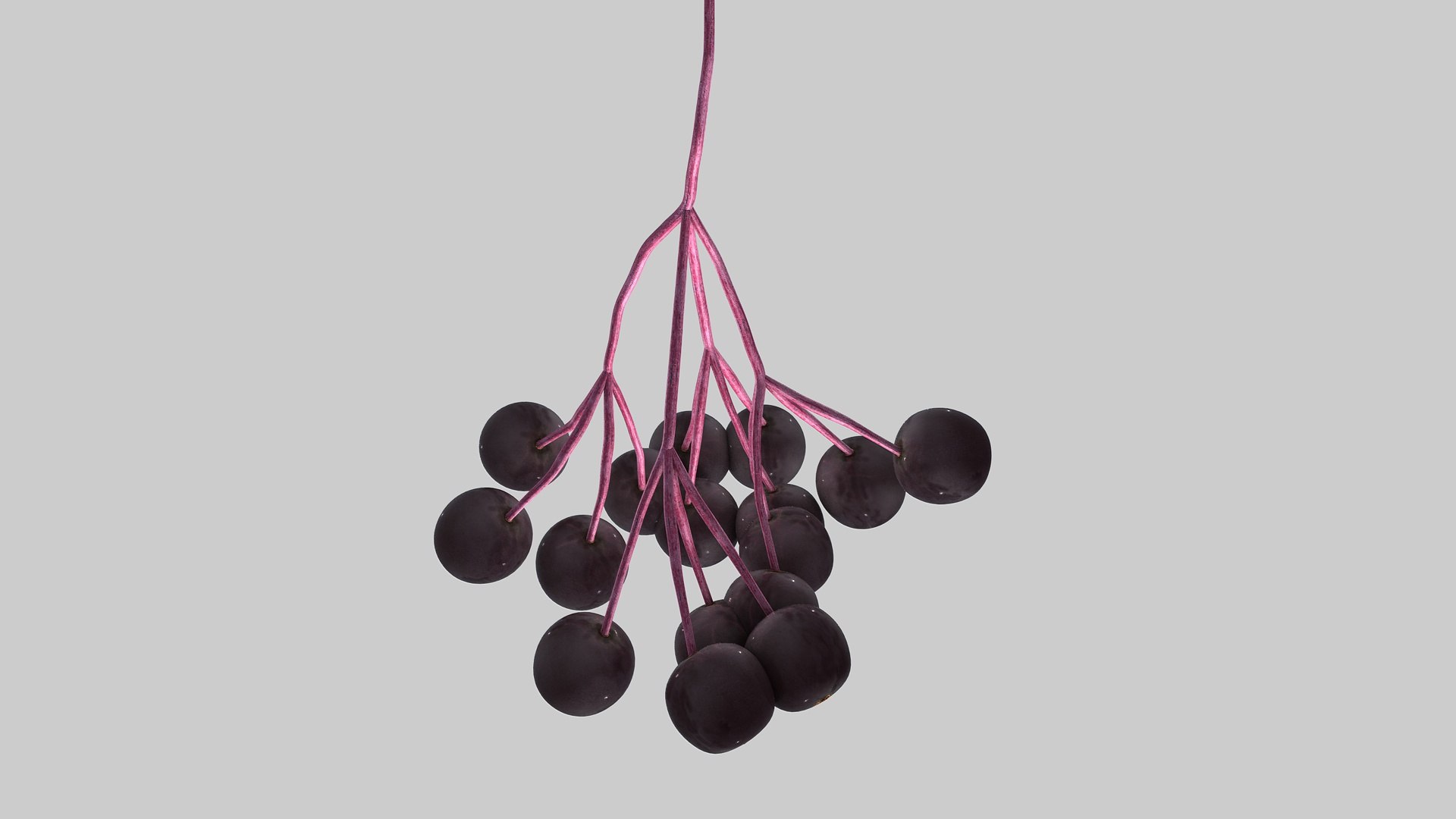 3D Berry Fruit - TurboSquid 1541193