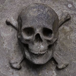 Skull Relief