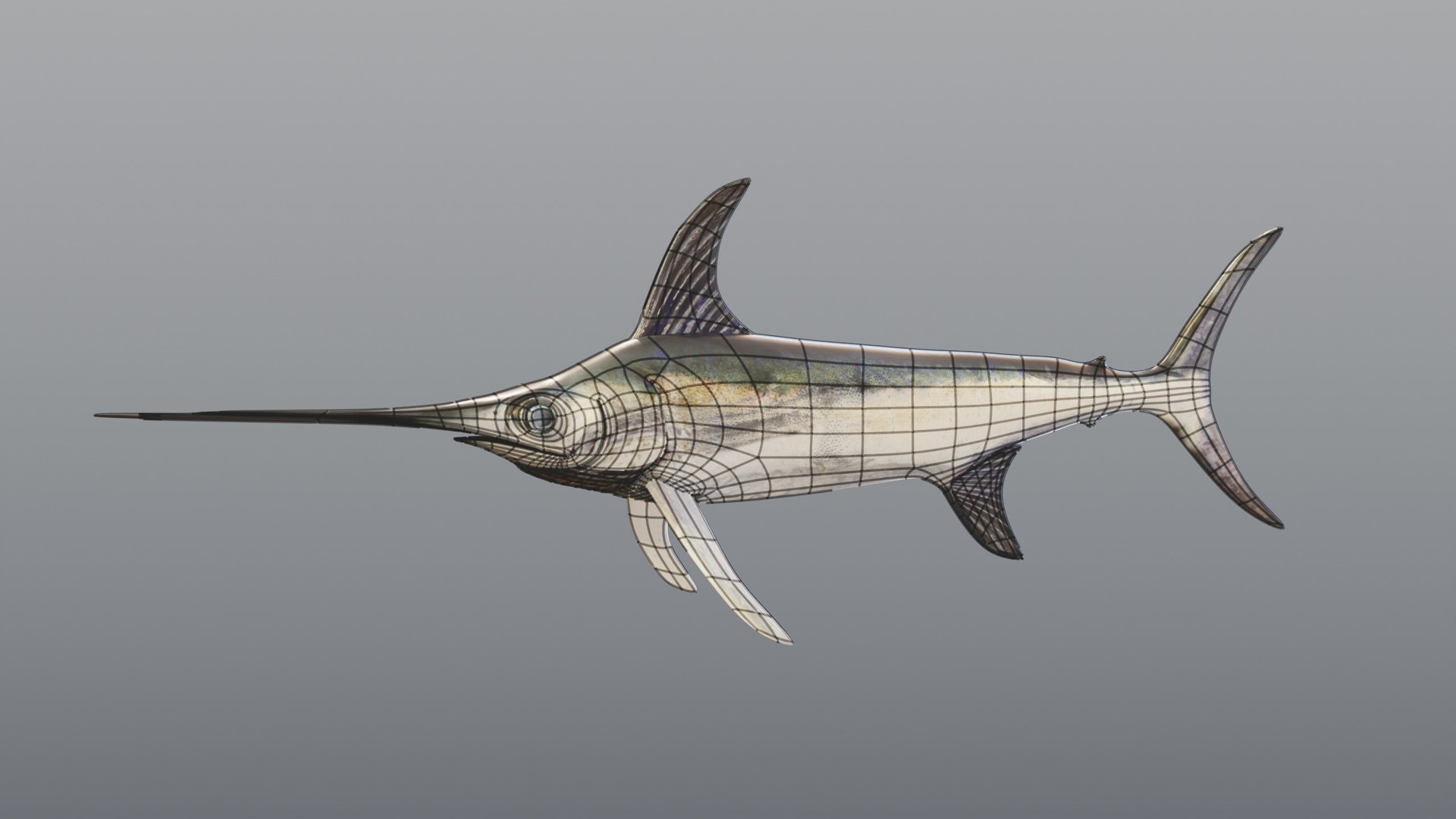 3D model Swordfish - Static PBR https://p.turbosquid.com/ts-thumb/h0/eRjb4a/4w/08_swordfishstatic_08_wire/jpg/1791558526/1920x1080/fit_q87/434d1c35eea0025e0261dae0bd96690441b0e3de/08_swordfishstatic_08_wire.jpg