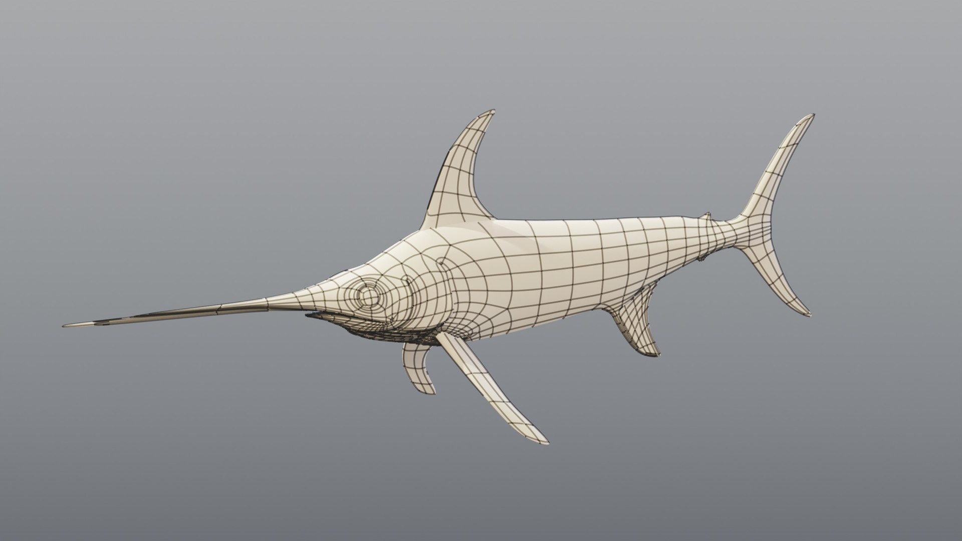 3D model Swordfish - Static PBR https://p.turbosquid.com/ts-thumb/h0/eRjb4a/WB/09_swordfishstatic_09_wire_clay/jpg/1791558551/1920x1080/fit_q87/677c140fd31a805d4365fad94b1e80ff3e0f3651/09_swordfishstatic_09_wire_clay.jpg