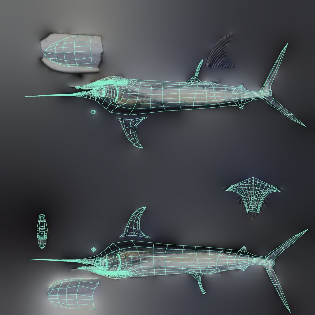 3D model Swordfish - Static PBR https://p.turbosquid.com/ts-thumb/h0/eRjb4a/jV/11_swordfishstatic_11_uv/jpg/1791558611/1920x1080/fit_q87/2c49d49b6a8870ef8958b14ebd6d3d8248bd4d8e/11_swordfishstatic_11_uv.jpg