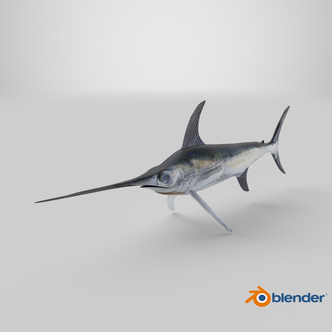 3D model Swordfish - Static PBR https://p.turbosquid.com/ts-thumb/h0/eRjb4a/kY/stemcell_blender_cycles_render/png/1793213134/1920x1080/fit_q87/c0a701e3fbbf72d91fb92ec109722d86ee610204/stemcell_blender_cycles_render.jpg