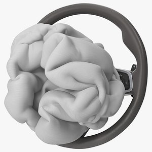 Steering Wheel with Airbag Animated