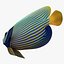 batterfly imperator fish