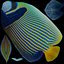 batterfly imperator fish