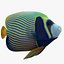 batterfly imperator fish
