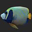 batterfly imperator fish