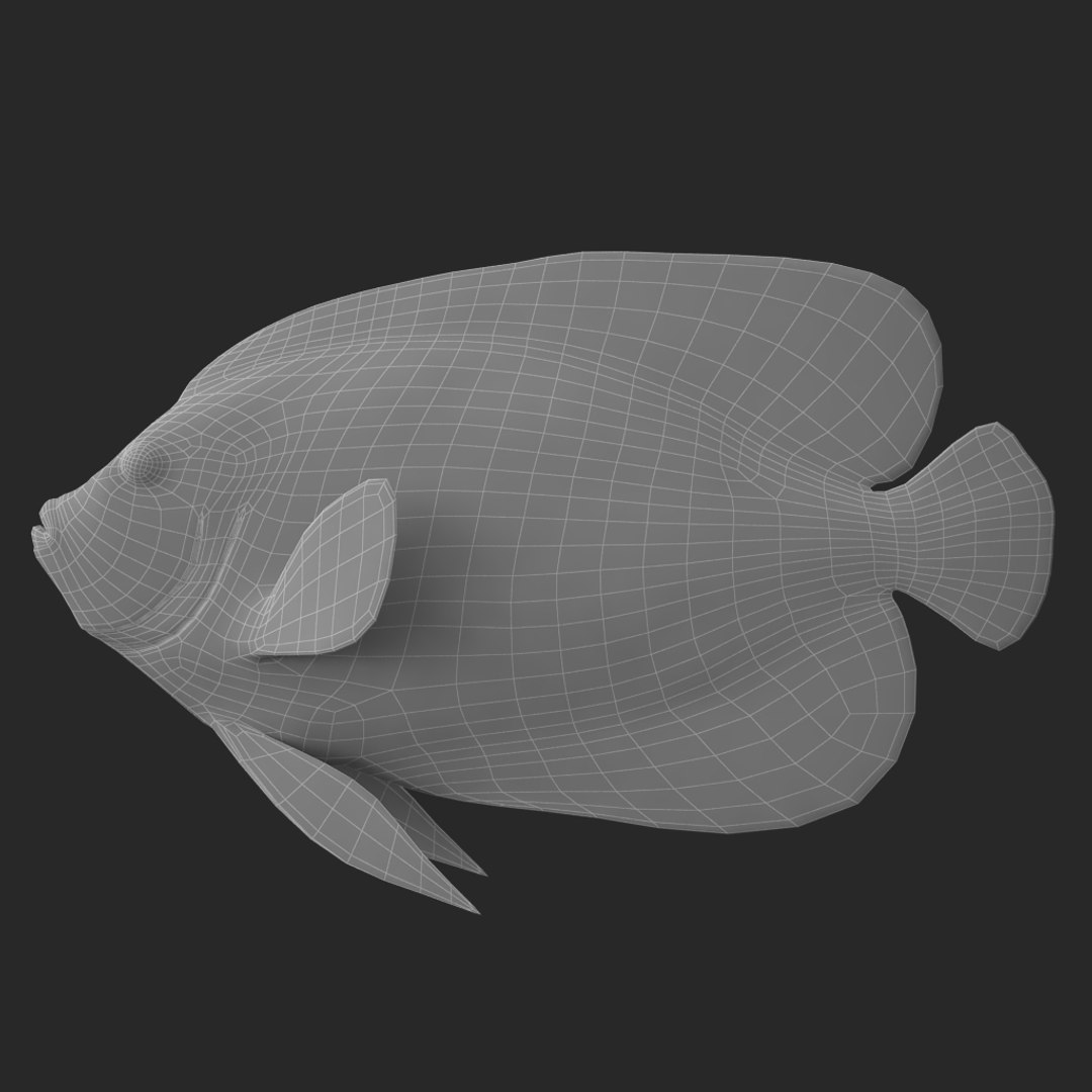 3D batterfly imperator fish - TurboSquid 1294443