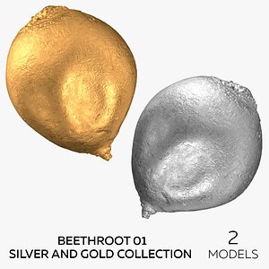 3D Beethroot 01 Silver and Gold Collection - 2 models model