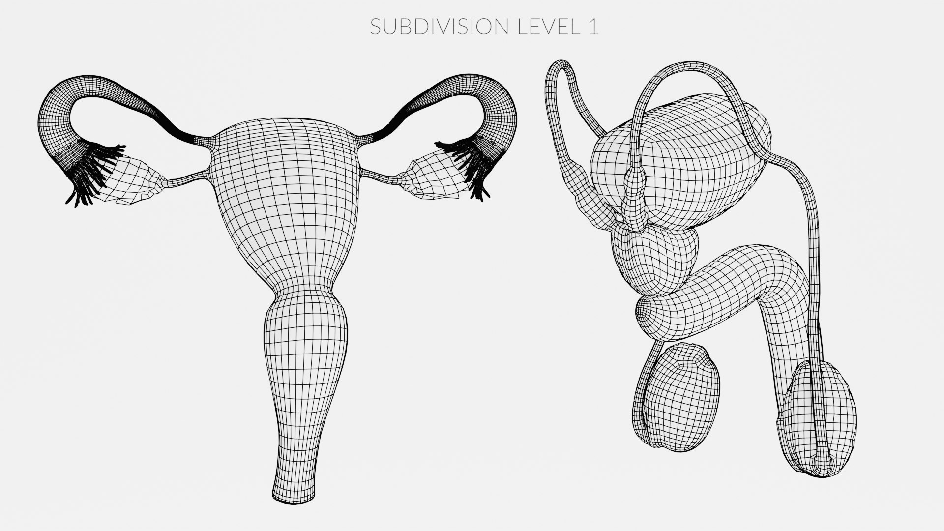 3D Human Reproductive System https://p.turbosquid.com/ts-thumb/h1/4gqVWA/ND/reproductivesystemsetw3/png/1705413051/1920x1080/fit_q87/10794cc39e376c189ea2e5e85eb0a3c2be2cff4d/reproductivesystemsetw3.jpg