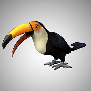 Rigged Low Poly Toucan keel billed