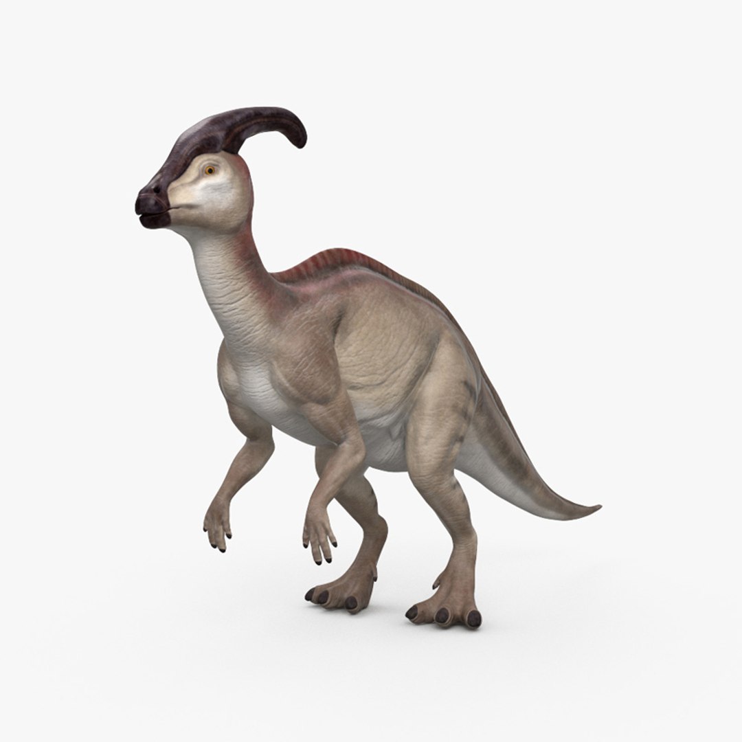 副栉龙 hd3d模型