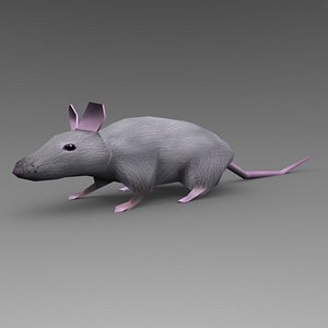Mouse 3D Models for Download