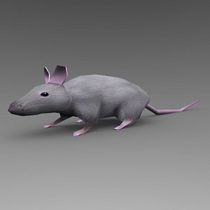 Low Poly Animated Rat