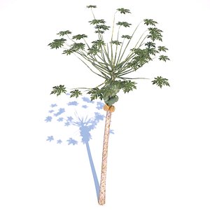 papaya tree 3d 3ds