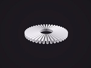 Elizabethan ruff model