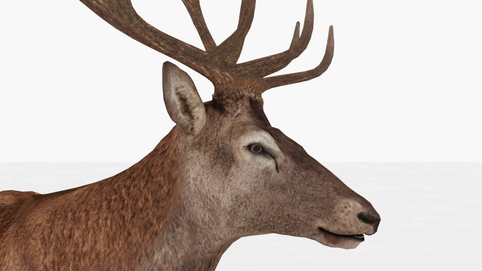3D Deer Rigged And Animated - TurboSquid 2348749