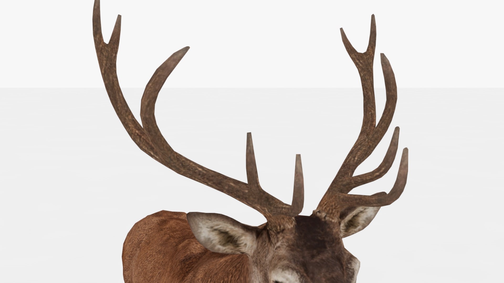 3D Deer Rigged And Animated - TurboSquid 2348749