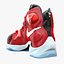 Lebron Basketball Shoe Pack