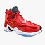 Lebron Basketball Shoe Pack