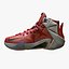 Lebron Basketball Shoe Pack