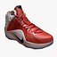 Lebron Basketball Shoe Pack