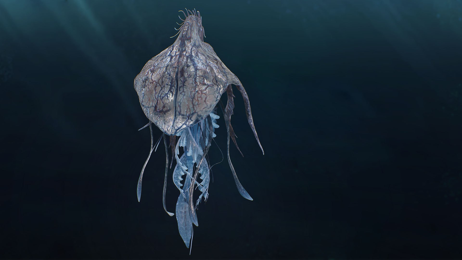 Jellyfish Empress 3D https://p.turbosquid.com/ts-thumb/h1/gJoQYj/BB/4/jpg/1742675964/1920x1080/fit_q87/51bfb3d0fb2ae8c473d7aa6135d72ba89b7ef18e/4.jpg