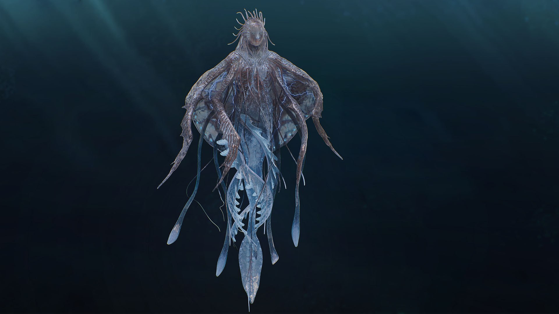 Jellyfish Empress 3D https://p.turbosquid.com/ts-thumb/h1/gJoQYj/RE/7/jpg/1742675966/1920x1080/fit_q87/1ed701f29ee26cc435025e8ce217f5adc067237d/7.jpg