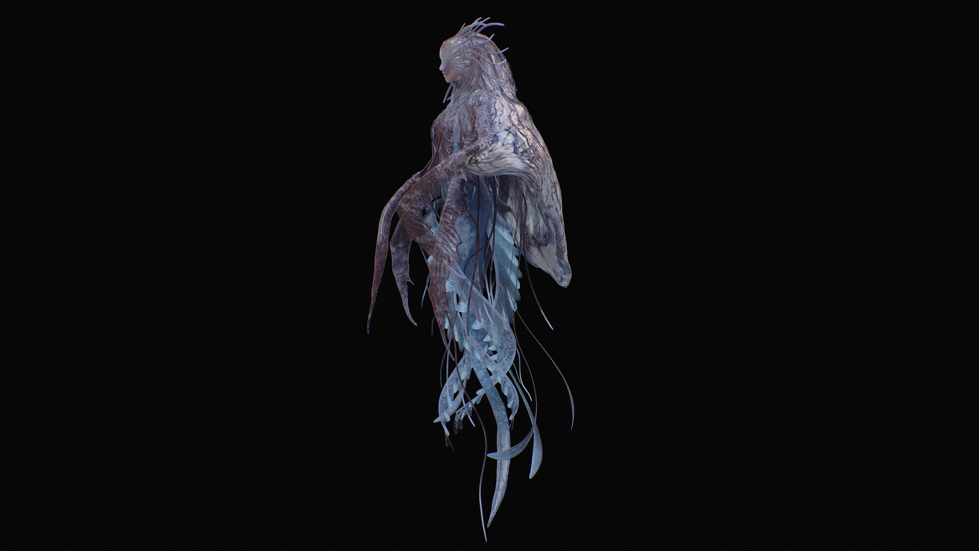 Jellyfish Empress 3D https://p.turbosquid.com/ts-thumb/h1/gJoQYj/T0/jellifish/jpg/1742676351/1920x1080/turn_fit_q99/e8346f89d6b1ecb11d1649baabc0531b482a95af/jellifish-1.jpg