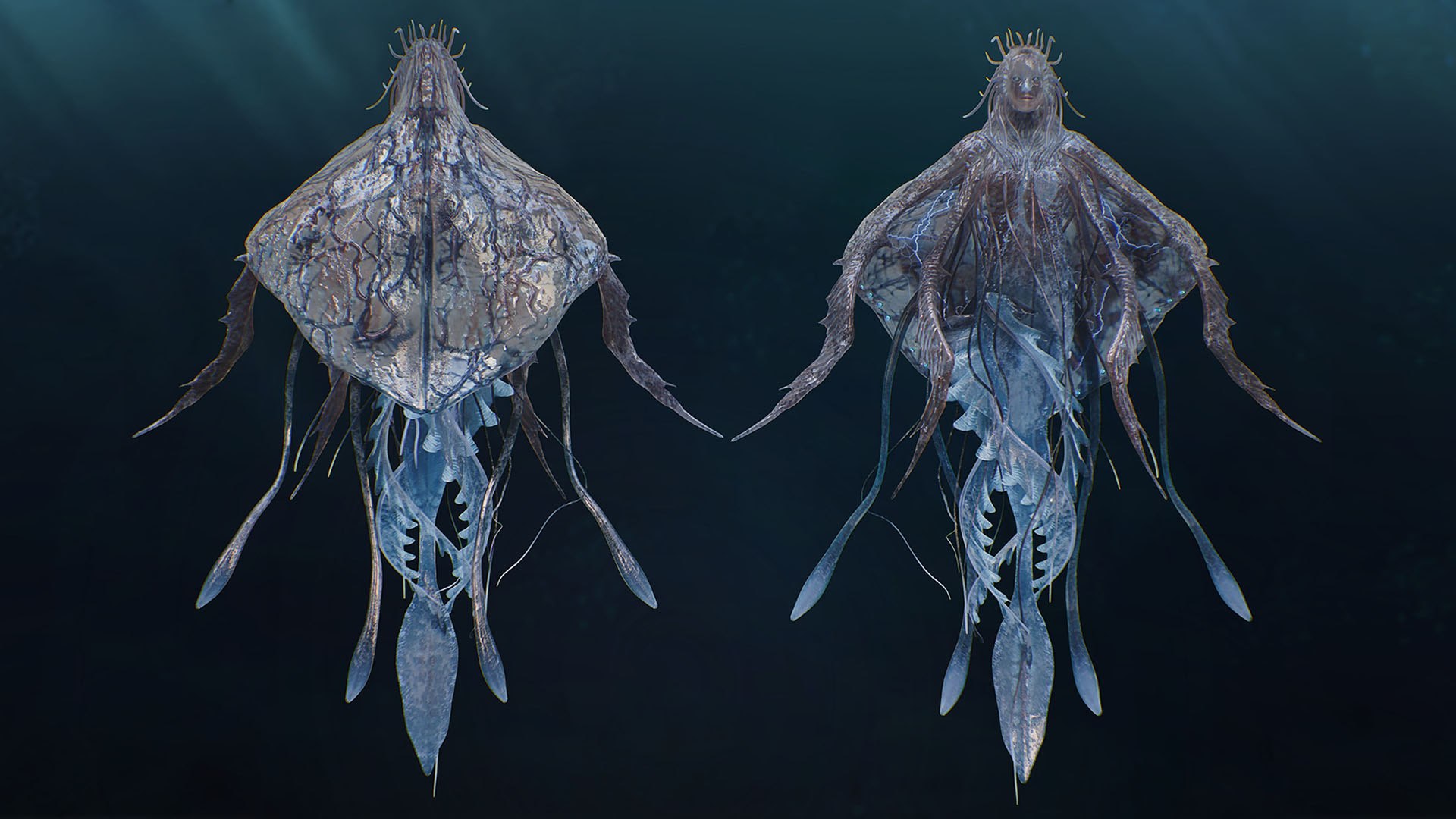 Jellyfish Empress 3D https://p.turbosquid.com/ts-thumb/h1/gJoQYj/TQ/89888/jpg/1742675968/1920x1080/fit_q87/f4e756d032304e7cd834c715d98f78d5cb27c9eb/89888.jpg