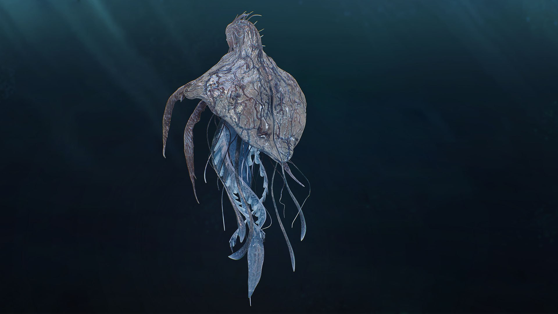 Jellyfish Empress 3D https://p.turbosquid.com/ts-thumb/h1/gJoQYj/iq/8/jpg/1742675966/1920x1080/fit_q87/3a760ed967dc6b84c3e18552a8051b240c2c7615/8.jpg